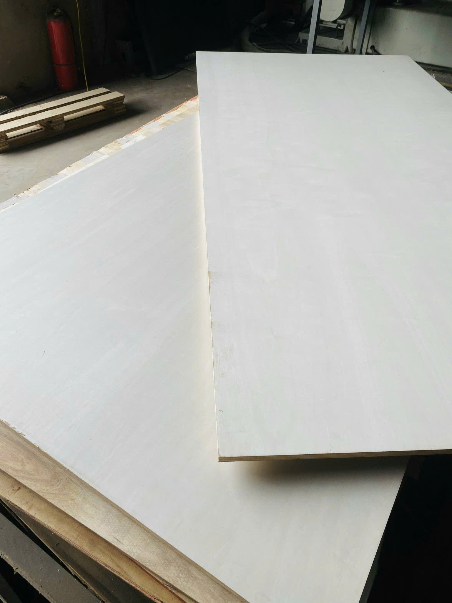 Gỗ plywood mặt Popla