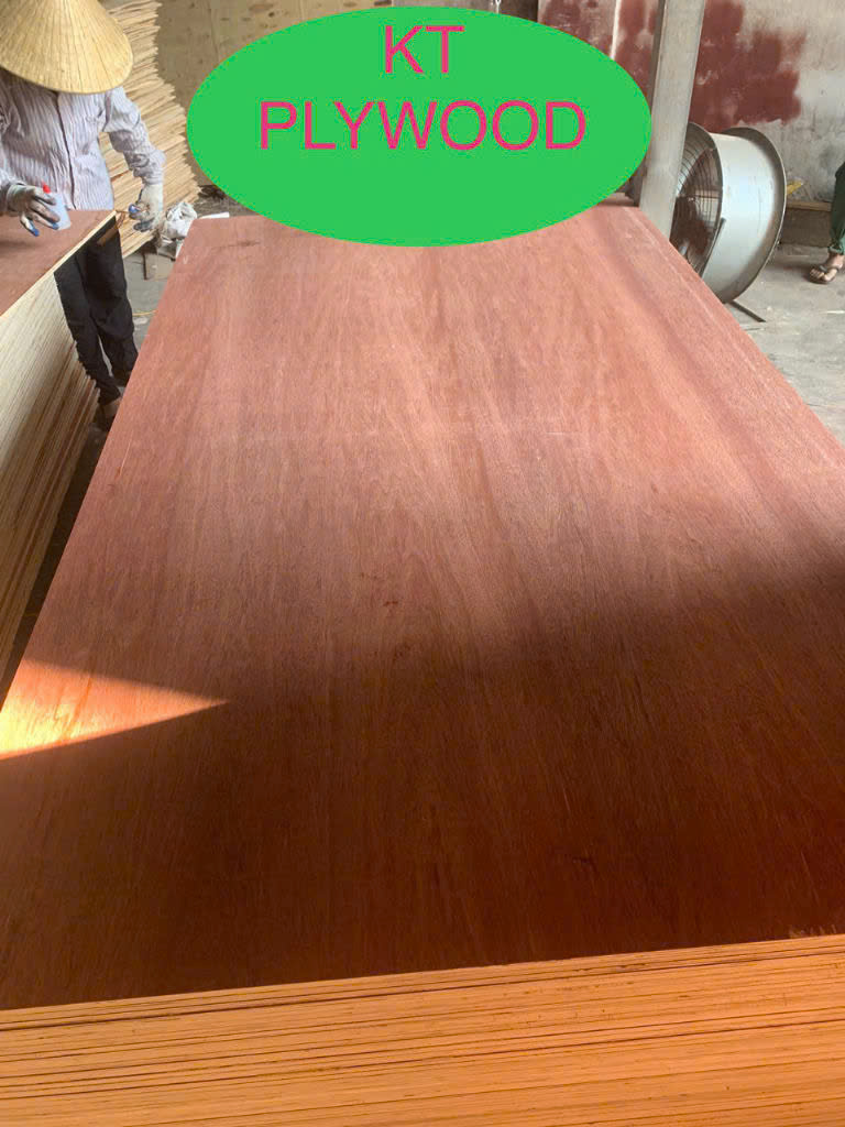 Gỗ plywood mặt Ucume