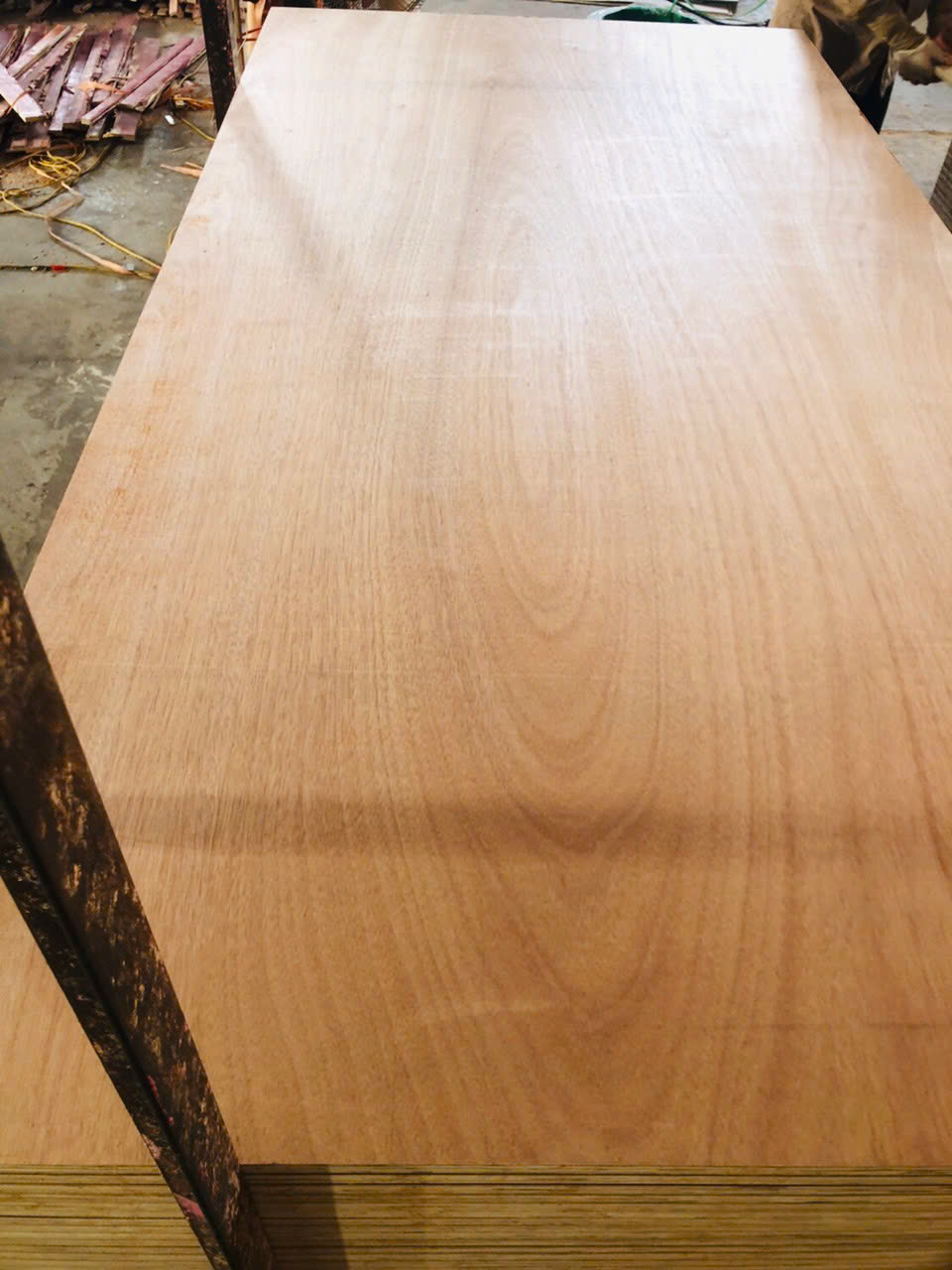 Gỗ plywood mặt Pitago